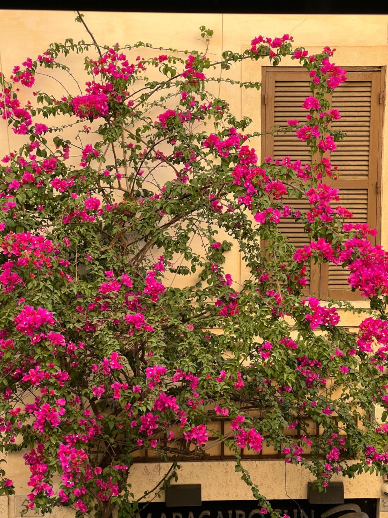 Appartamento Moro7 Apartment-stylish & Bright-piazza Trilussa